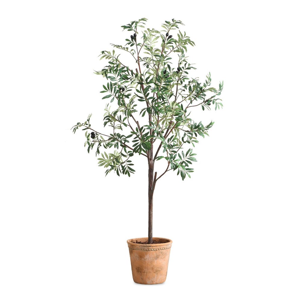Elce Potted Olive