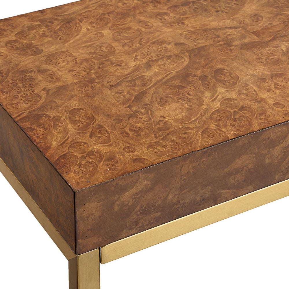 Terme 60 in. Burl Veneer Console Table