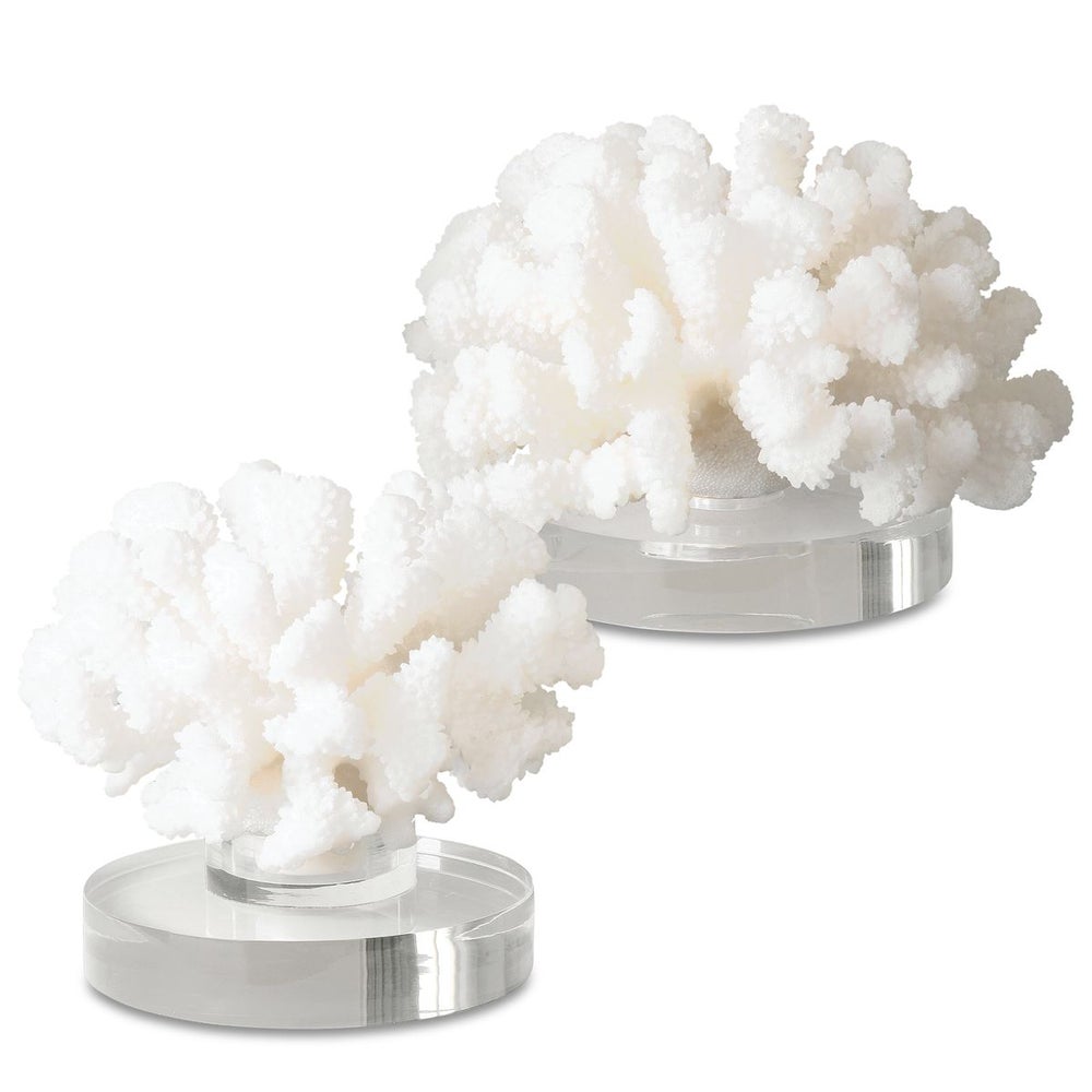 Breton White Coral Sculpture - Set of 2