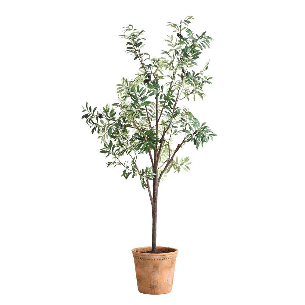 Elce Potted Olive