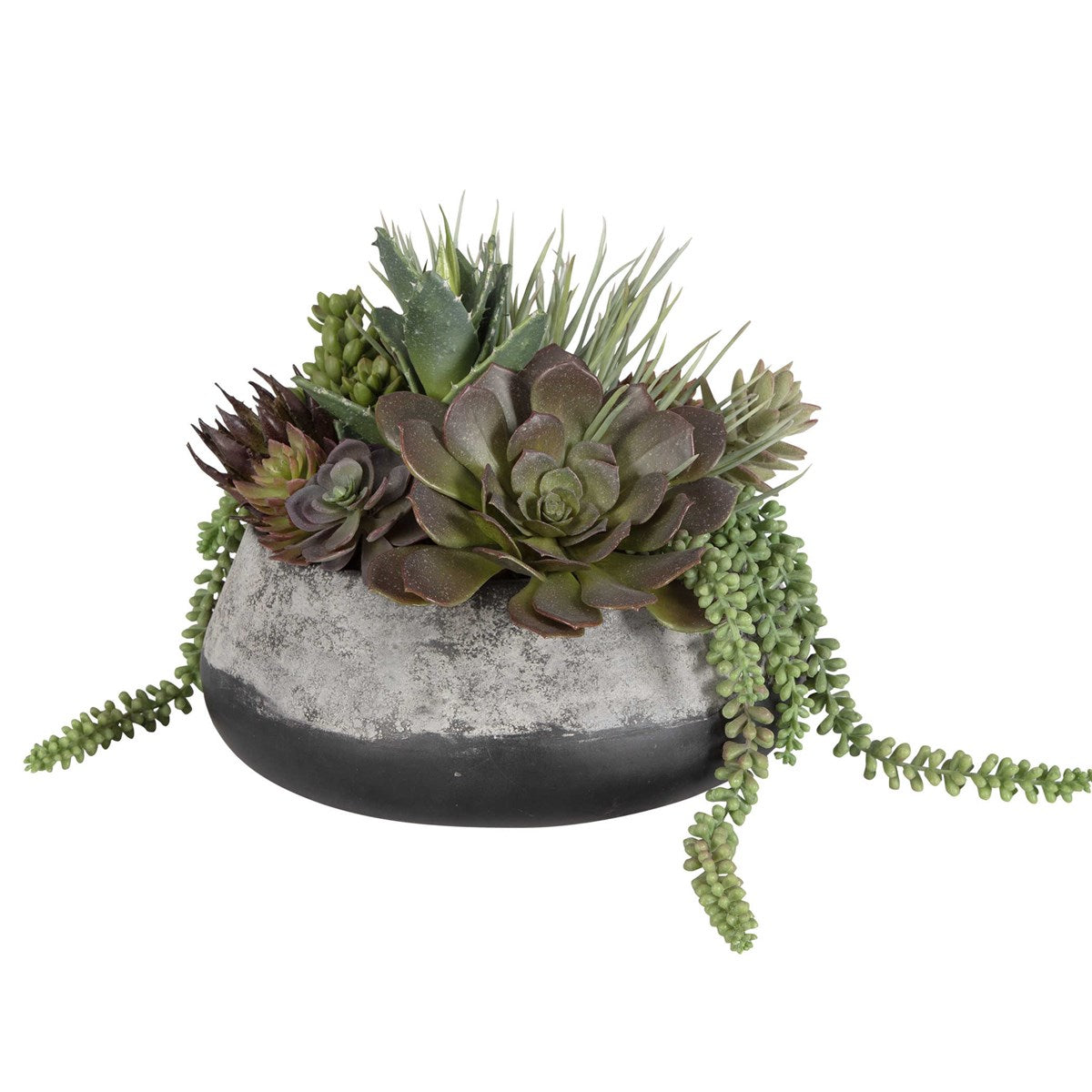 Baia Succulent Centerpiece