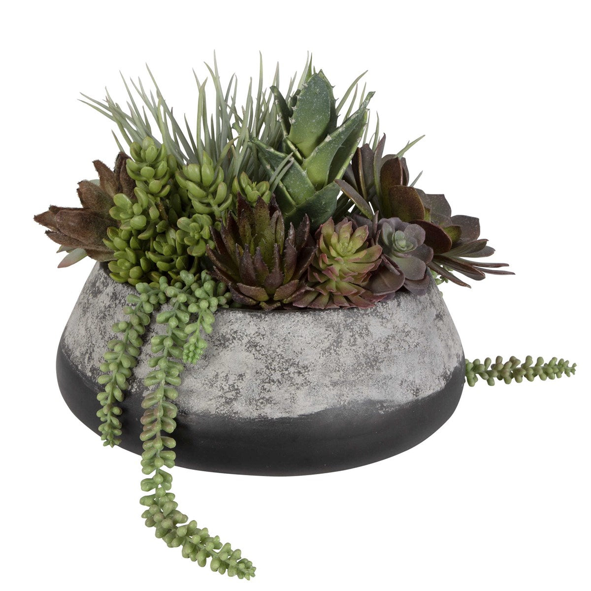Baia Succulent Centerpiece
