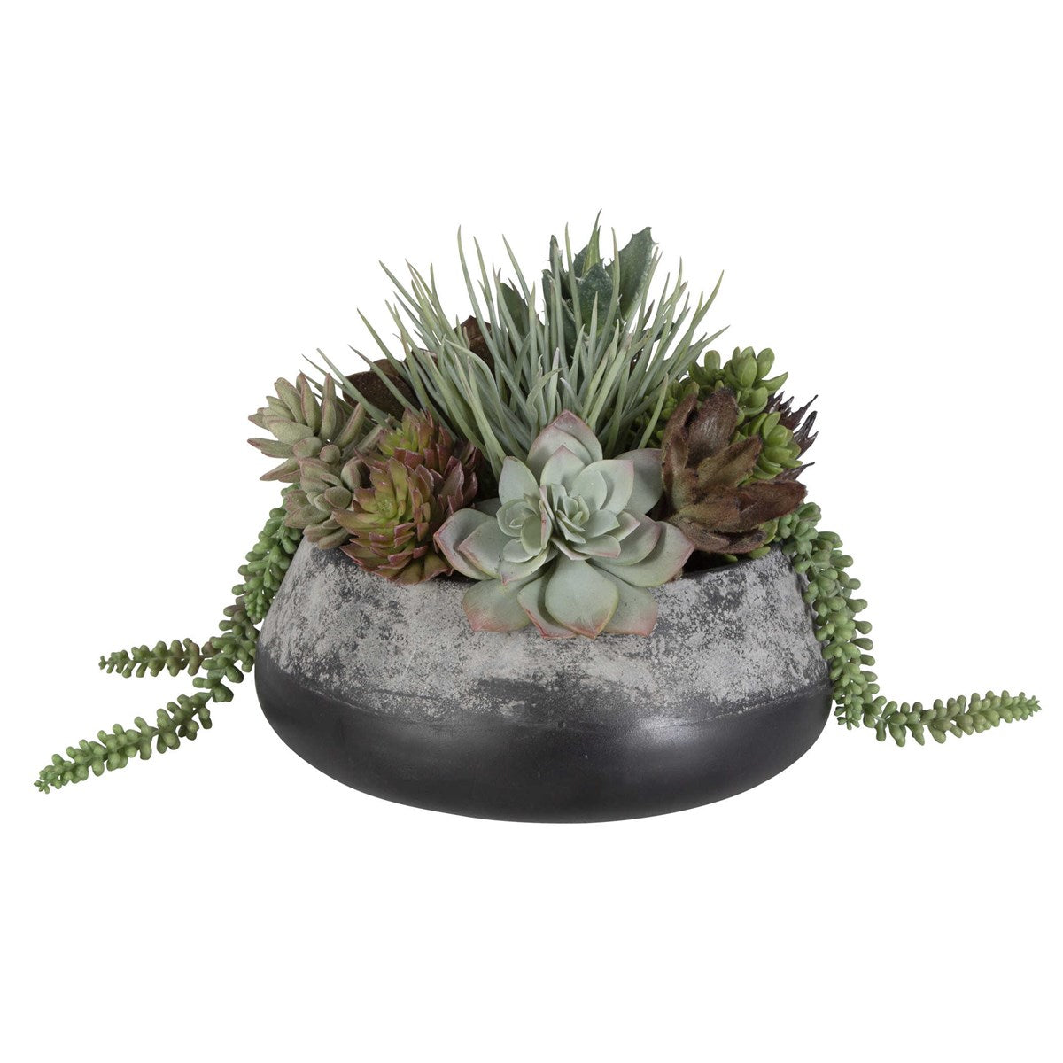 Baia Succulent Centerpiece