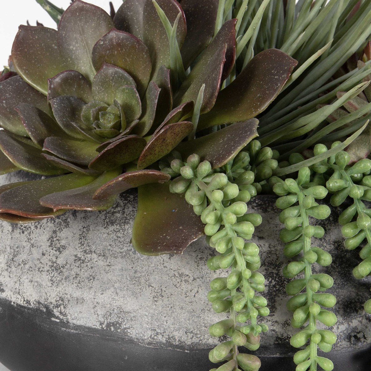 Baia Succulent Centerpiece