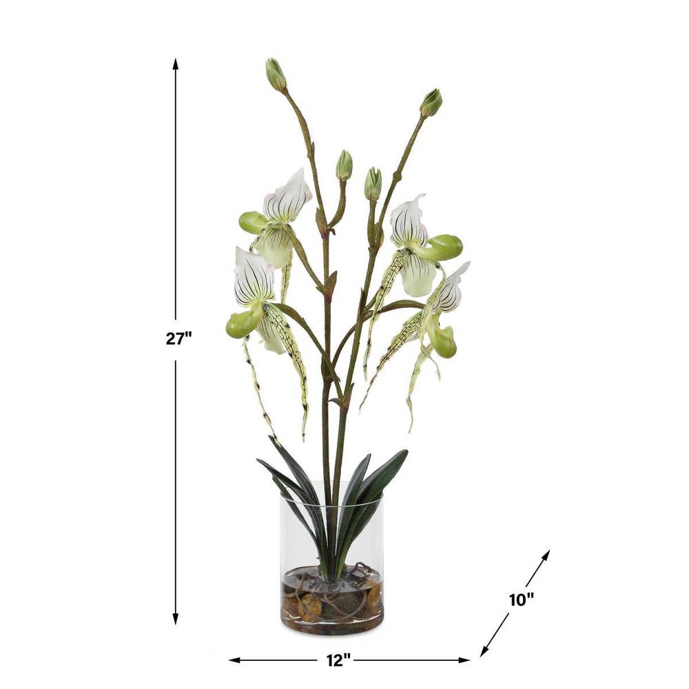 Roata Slipper Orchids in Clear Glass
