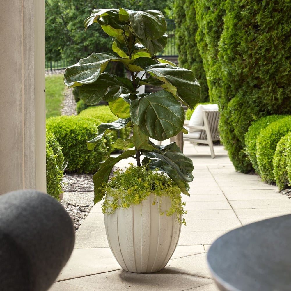 Ancona Outdoor Planter