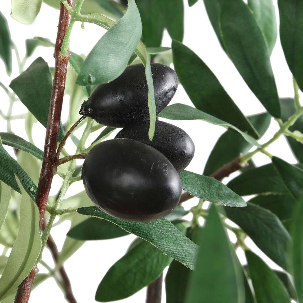 Elce Potted Olive