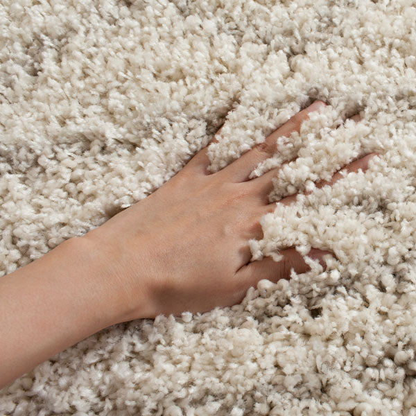 Agnino Shag Rug