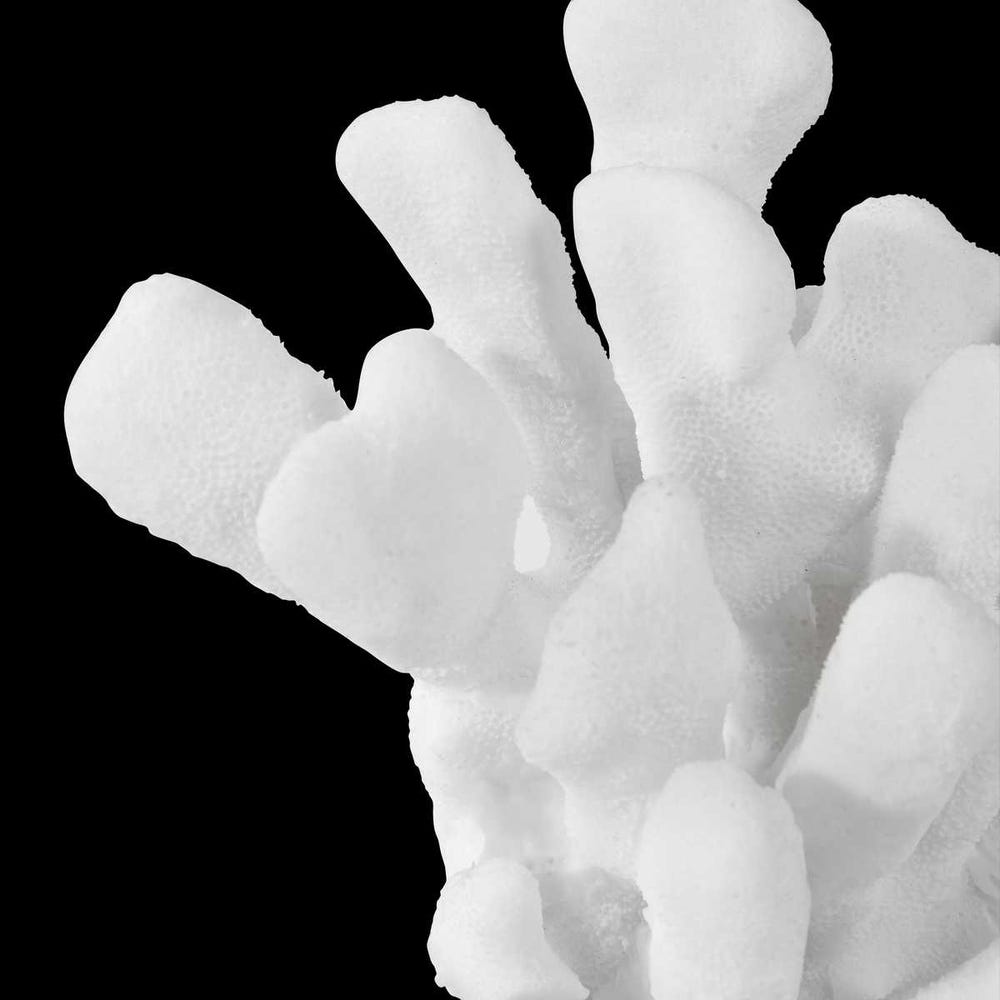 Coral Blanco Bookends - Set of 2