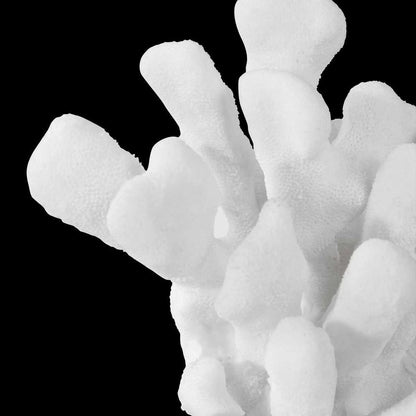 Coral Blanco Bookends - Set of 2