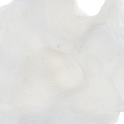 Baggio White Stone Sculptures - Set of 2