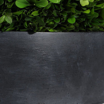 Longhena Boxwood Centerpiece