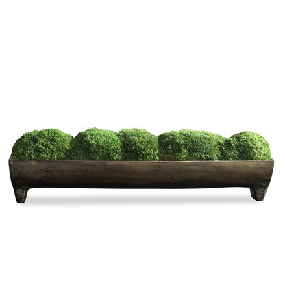 Giarre Moss Centerpiece