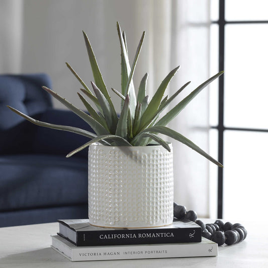 Boara Aloe Centerpiece