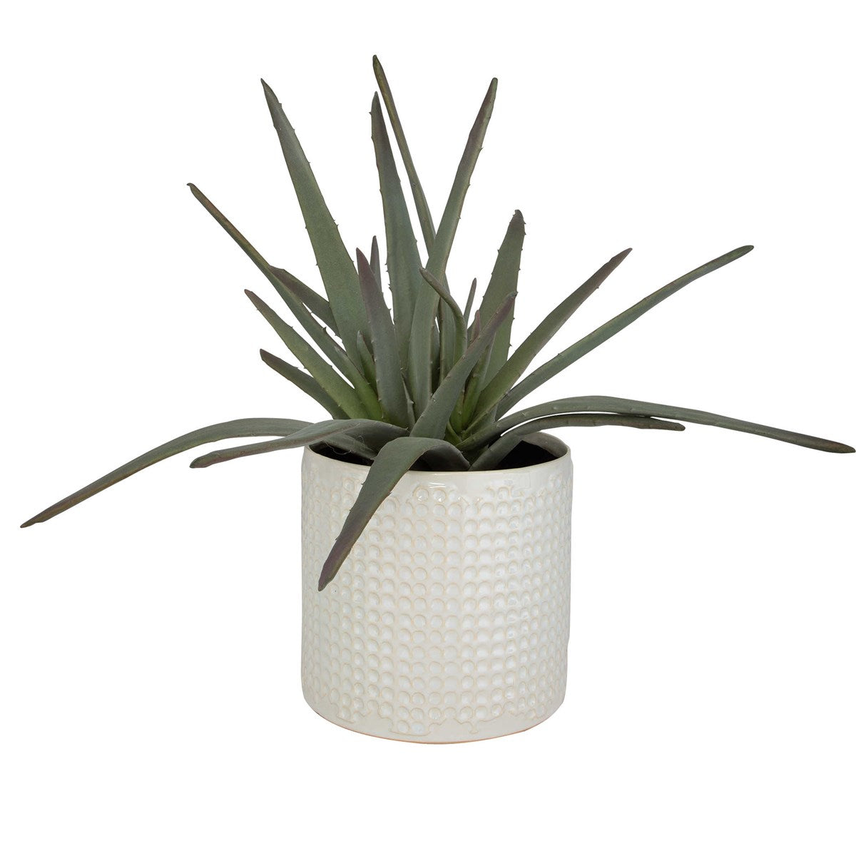 Boara Aloe Centerpiece