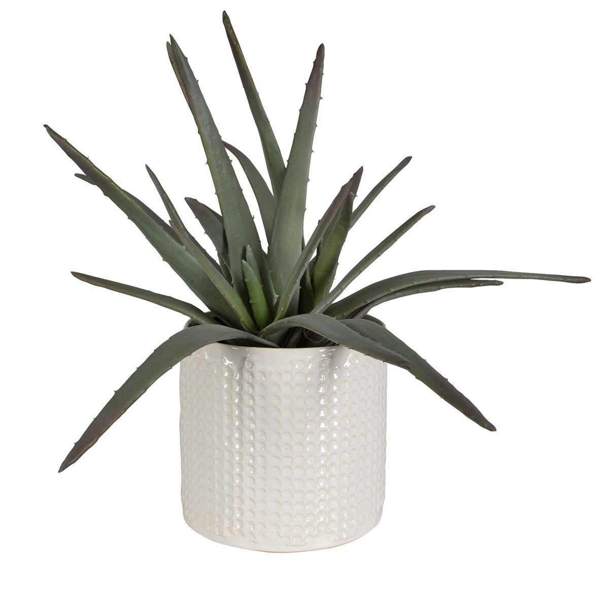 Boara Aloe Centerpiece