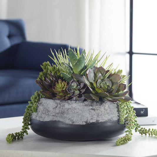 Baia Succulent Centerpiece