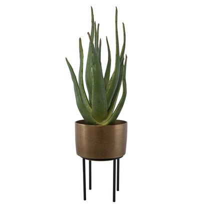 Birgi Aloe Planter