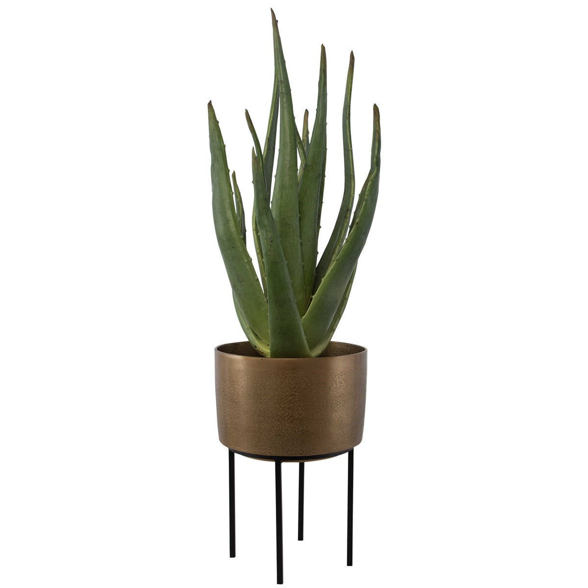 Birgi Aloe Planter