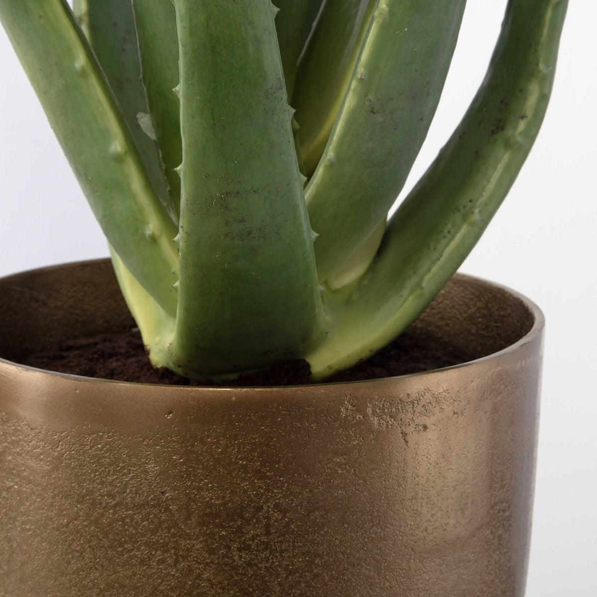 Birgi Aloe Planter