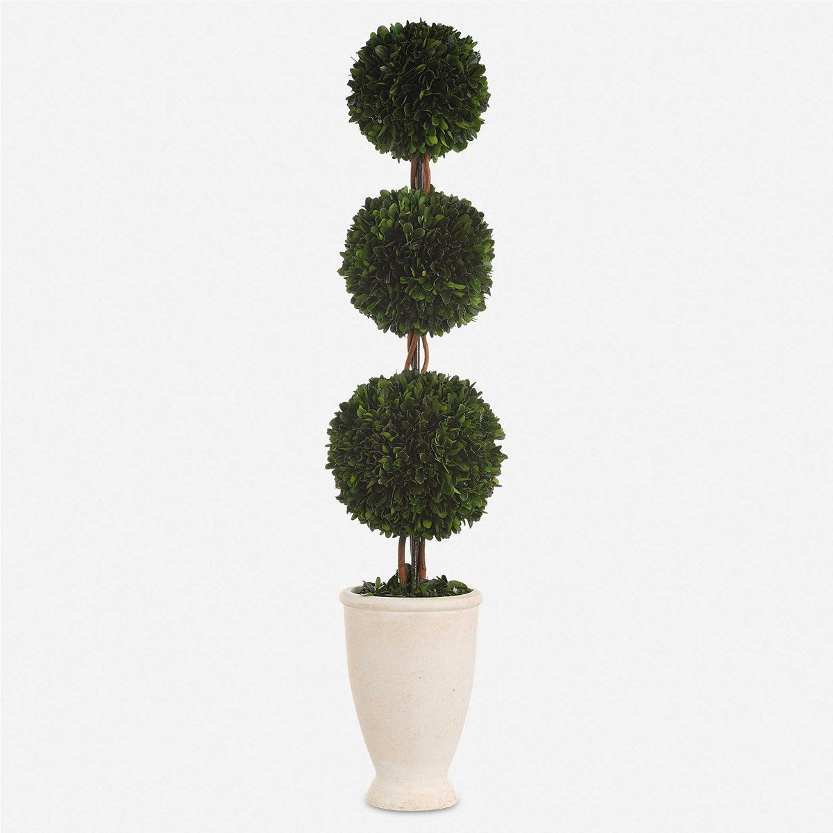 Matese Triple Topiary