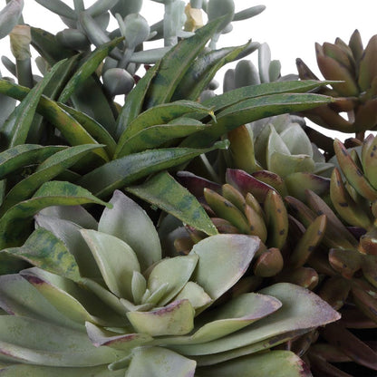 Ortensio Outdoor Succulent with Concrete Planter