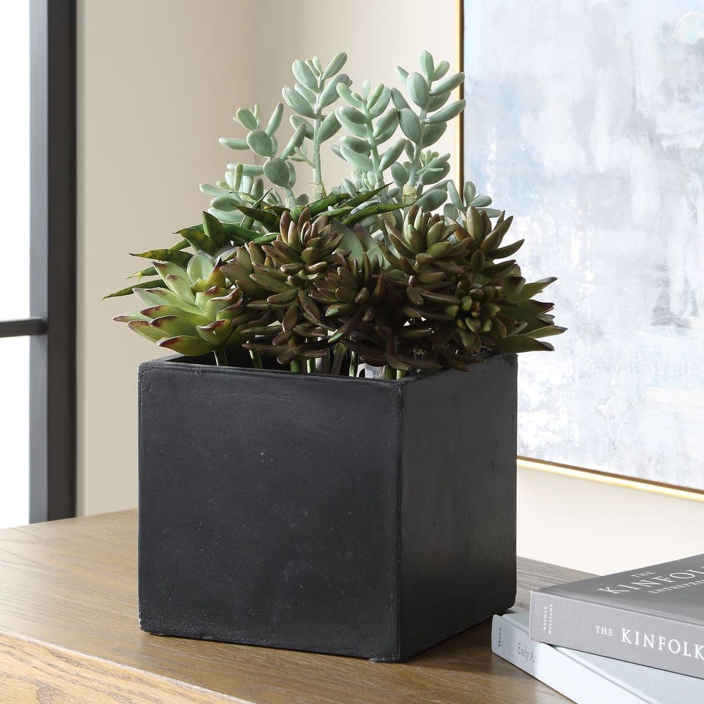 Ortensio Outdoor Succulent with Concrete Planter