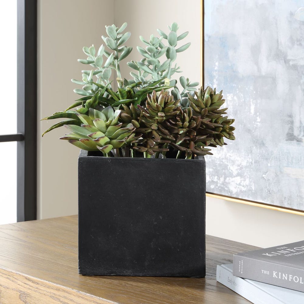 Ortensio Outdoor Succulent with Concrete Planter