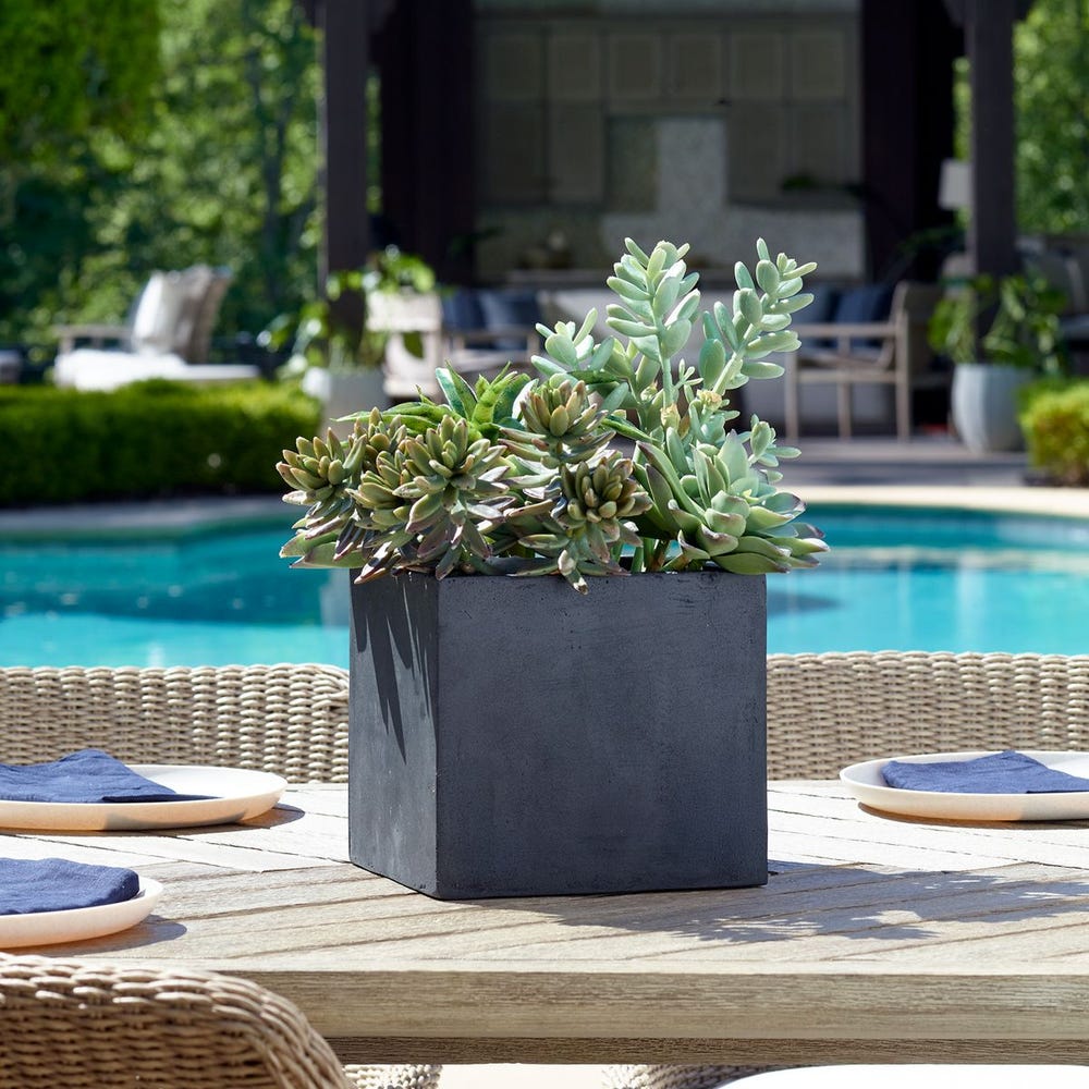 Ortensio Outdoor Succulent with Concrete Planter