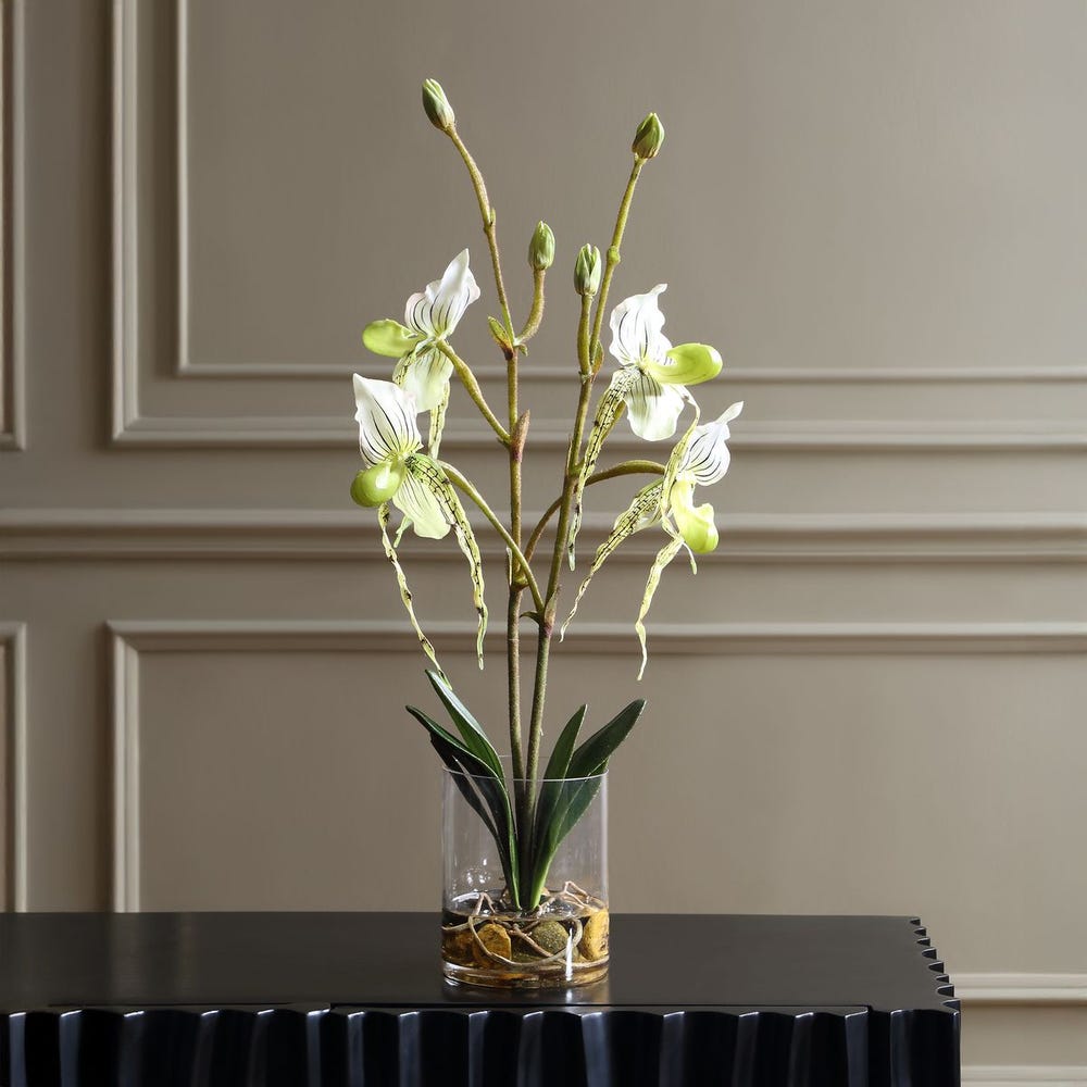 Roata Slipper Orchids in Clear Glass