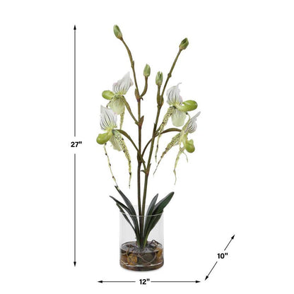 Roata Slipper Orchids in Clear Glass
