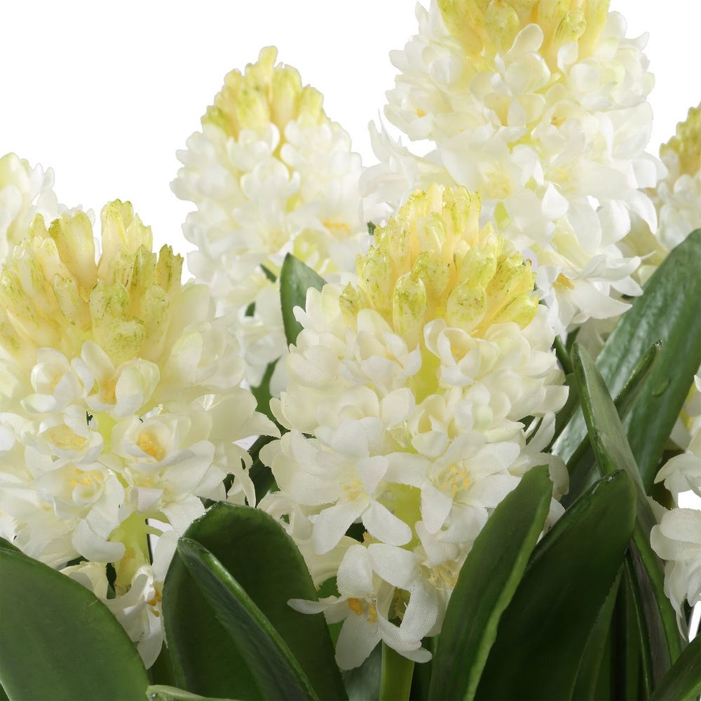 Spring Grace Potted Hyacinth