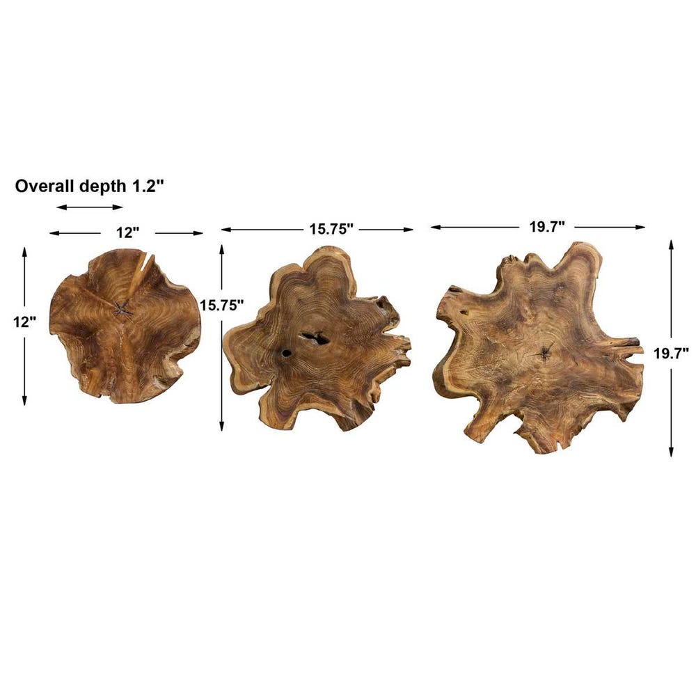 Poggio Teak Wood Outdoor Wall Decor - Set of 3