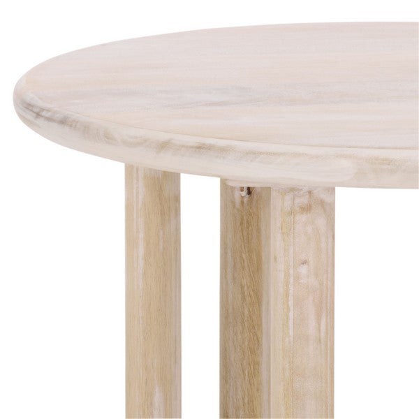 Centese 22 in. Mango Wood Accent Table