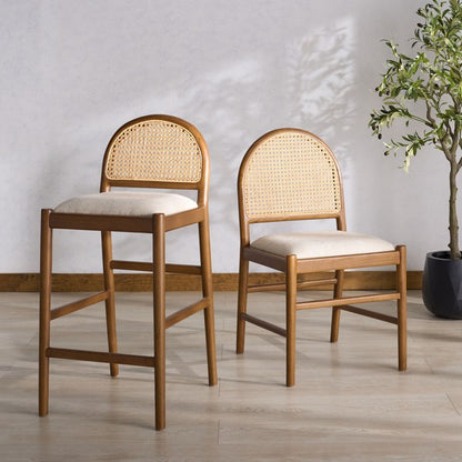 Ginosa Rattan and Leather Dining Chair - Set of 2