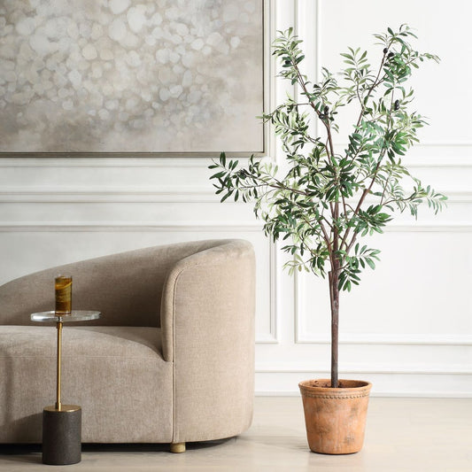 Elce Potted Olive