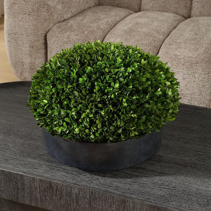 Longhena Boxwood Centerpiece