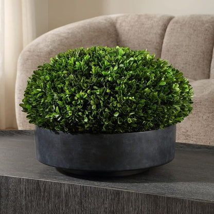 Longhena Boxwood Centerpiece