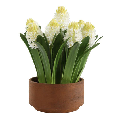 Spring Grace Potted Hyacinth