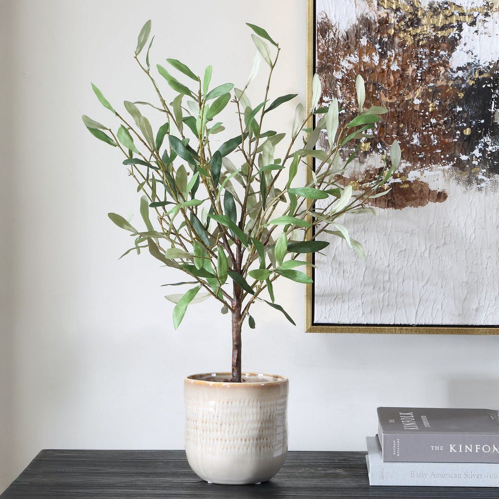 Alora Olive Potted Plant