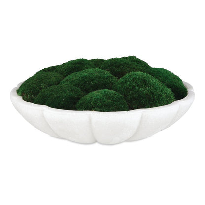 Drusacco Moss Centerpiece