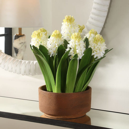 Spring Grace Potted Hyacinth