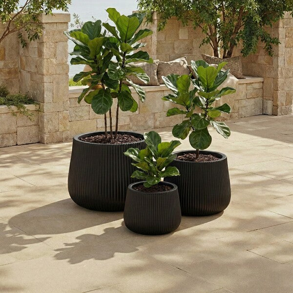 Giammoro Fiber Clay Outdoor Planter - Set of 3
