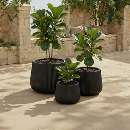 Giammoro Fiber Clay Outdoor Planter - Set of 3