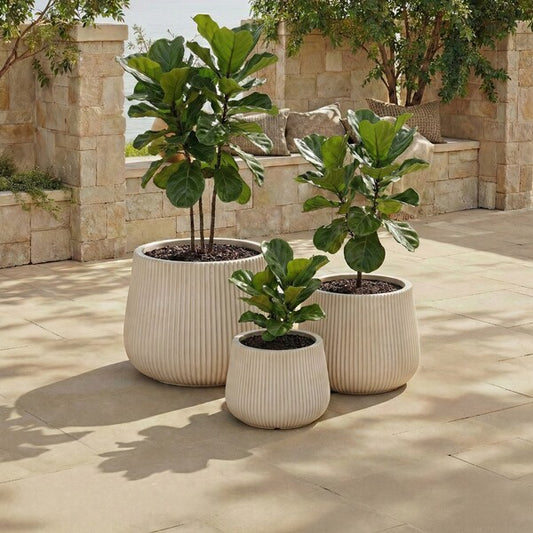 Maliseti Fiber Clay Outdoor Planter - Set of 3