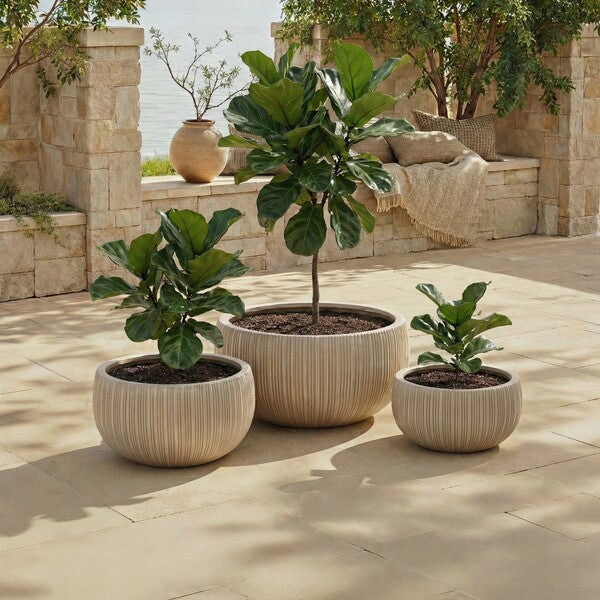 Patria Fiber Clay Outdoor Planter - Set of 3