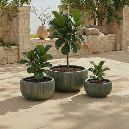 Cimone Fiber Clay Outdoor Planter - Set of 3