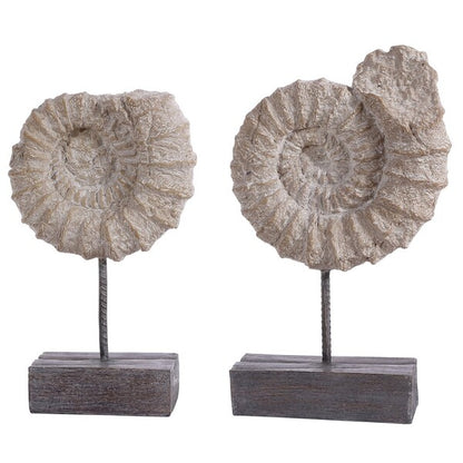 Dozza Polyresin Ammonite Fossils - Set of 2