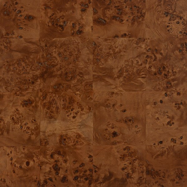 Valera 55 in. Burl Wood Coffee Table