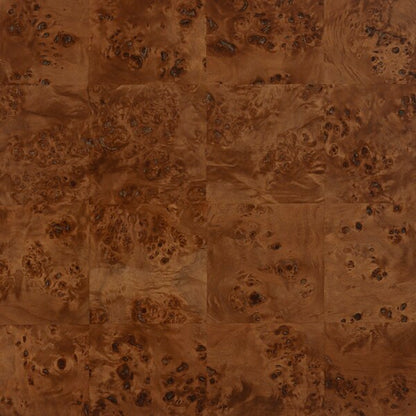 Valera 55 in. Burl Wood Coffee Table